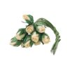 Ivory Rosebuds Set of 10
