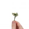 Ivory Rosebuds Set of 10 - Image 2