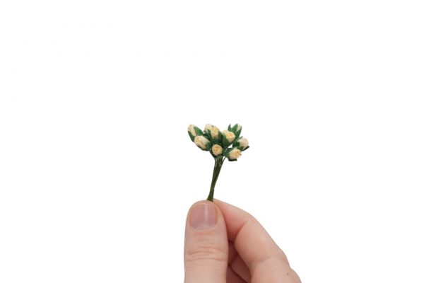 Ivory Rosebuds Set of 10 - Image 2