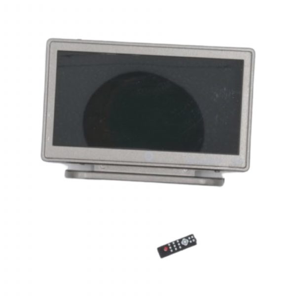 Flat Screen TV with remote