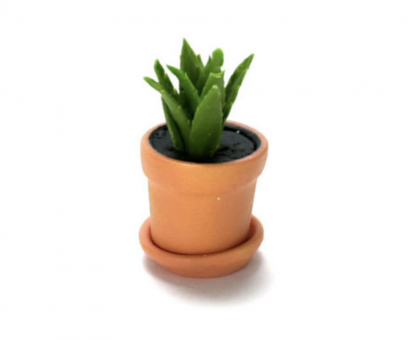 Houseplant