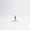 Contemporary Desk Lamp